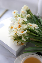 Load image into Gallery viewer, Bunch of Daffodils
